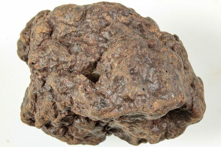 Chondrite Meteorite ( grams) - Western Sahara Desert #233220